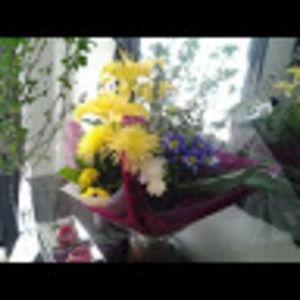 Meet your Posher, NG